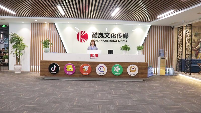 宣传片脚本与分镜：内容呈现的两种艺术手法