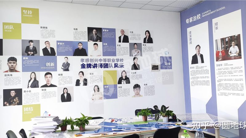 VI设计代理加盟：揭秘厂家直招背后的优势与考量